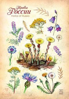 http://upforme.ru/uploads/0011/9c/2c/1692/t619768.jpg