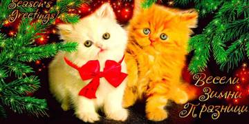 http://upforme.ru/uploads/0011/9c/2c/1705/t30101.jpg