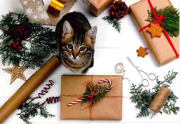 http://upforme.ru/uploads/0011/9c/2c/1705/t366852.jpg