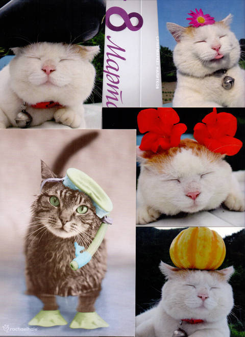 http://upforme.ru/uploads/0011/9c/2c/2085/t65918.jpg