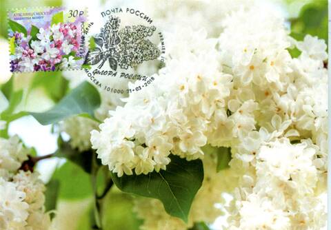 http://upforme.ru/uploads/0011/9c/2c/210/t176547.jpg