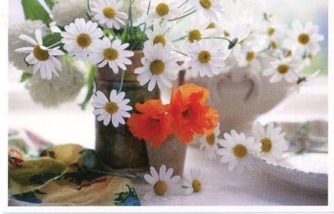 http://upforme.ru/uploads/0011/9c/2c/210/t298211.jpg