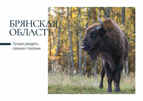 http://upforme.ru/uploads/0011/9c/2c/210/t840232.jpg