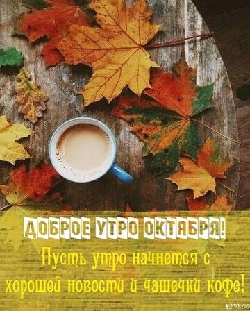 http://upforme.ru/uploads/0011/9c/2c/210/t883524.jpg