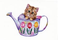 http://upforme.ru/uploads/0011/9c/2c/2158/t142812.jpg