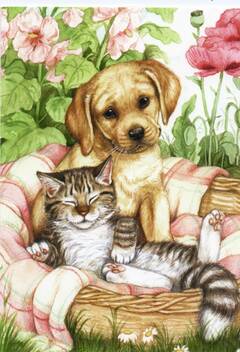 http://upforme.ru/uploads/0011/9c/2c/2158/t815394.jpg