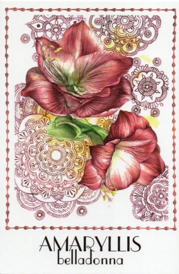 http://upforme.ru/uploads/0011/9c/2c/2158/t883345.jpg