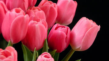http://upforme.ru/uploads/0011/9c/2c/2165/t21391.jpg