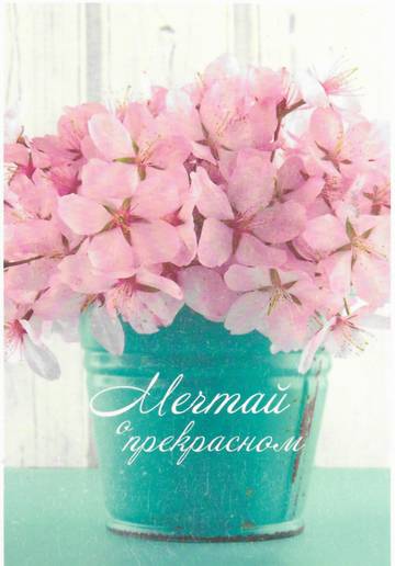 http://upforme.ru/uploads/0011/9c/2c/2165/t514769.jpg