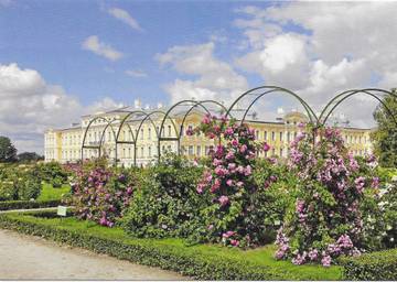http://upforme.ru/uploads/0011/9c/2c/2165/t598967.jpg