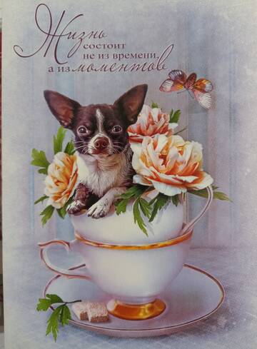 http://upforme.ru/uploads/0011/9c/2c/2376/t374201.jpg