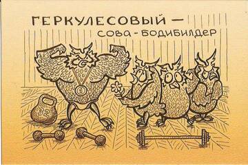 http://upforme.ru/uploads/0011/9c/2c/24/t880556.jpg