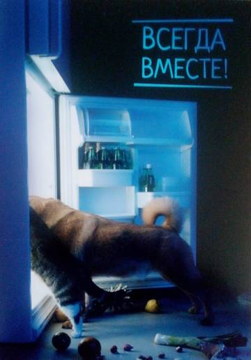 http://upforme.ru/uploads/0011/9c/2c/376/t26347.jpg