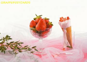 http://upforme.ru/uploads/0011/9c/2c/544/t603651.jpg