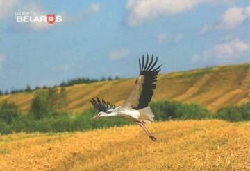 http://upforme.ru/uploads/0011/9c/2c/544/t634948.jpg