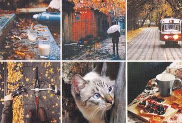 http://upforme.ru/uploads/0011/9c/2c/544/t684019.jpg