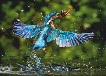 http://upforme.ru/uploads/0011/9c/2c/544/t709354.jpg