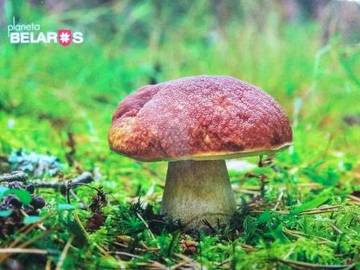 http://upforme.ru/uploads/0011/9c/2c/57/t68875.jpg