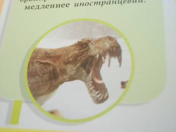 http://upforme.ru/uploads/0011/bd/ef/2/t153194.jpg