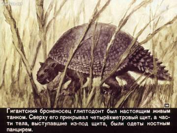 http://upforme.ru/uploads/0011/bd/ef/2/t18907.jpg