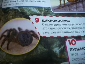 http://upforme.ru/uploads/0011/bd/ef/2/t200868.jpg