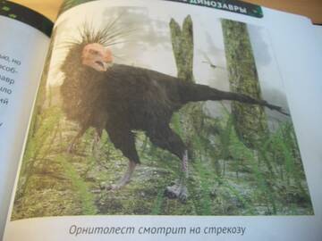 http://upforme.ru/uploads/0011/bd/ef/2/t202042.jpg