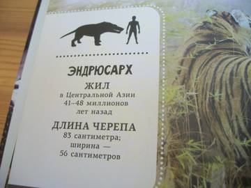 http://upforme.ru/uploads/0011/bd/ef/2/t204243.jpg