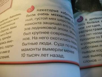 http://upforme.ru/uploads/0011/bd/ef/2/t20701.jpg