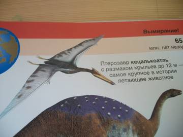 http://upforme.ru/uploads/0011/bd/ef/2/t229084.jpg