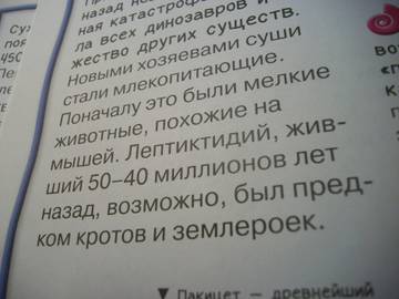 http://upforme.ru/uploads/0011/bd/ef/2/t24118.jpg
