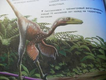 http://upforme.ru/uploads/0011/bd/ef/2/t31197.jpg