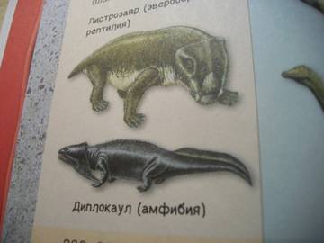 http://upforme.ru/uploads/0011/bd/ef/2/t31553.jpg