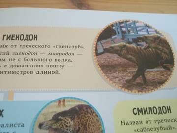 http://upforme.ru/uploads/0011/bd/ef/2/t343435.jpg