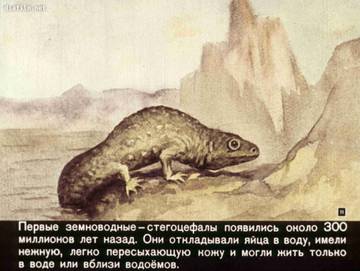 http://upforme.ru/uploads/0011/bd/ef/2/t36718.jpg