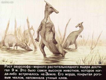 http://upforme.ru/uploads/0011/bd/ef/2/t38695.jpg