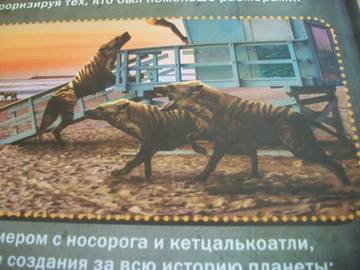 http://upforme.ru/uploads/0011/bd/ef/2/t387550.jpg