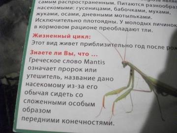 http://upforme.ru/uploads/0011/bd/ef/2/t394082.jpg