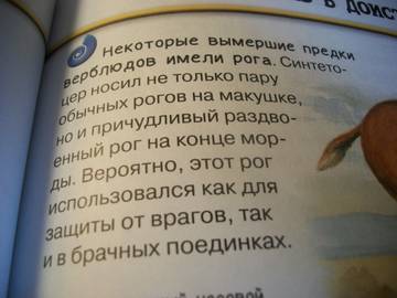 http://upforme.ru/uploads/0011/bd/ef/2/t40169.jpg