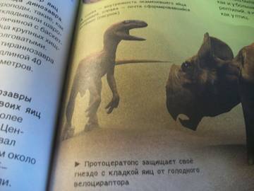 http://upforme.ru/uploads/0011/bd/ef/2/t46442.jpg