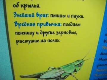 http://upforme.ru/uploads/0011/bd/ef/2/t464712.jpg