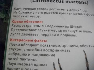 http://upforme.ru/uploads/0011/bd/ef/2/t471243.jpg