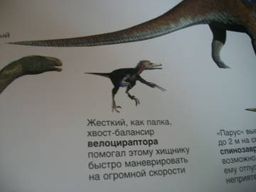 http://upforme.ru/uploads/0011/bd/ef/2/t479144.jpg