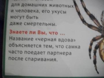 http://upforme.ru/uploads/0011/bd/ef/2/t491682.jpg