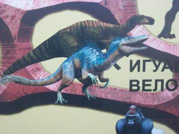 http://upforme.ru/uploads/0011/bd/ef/2/t510077.jpg