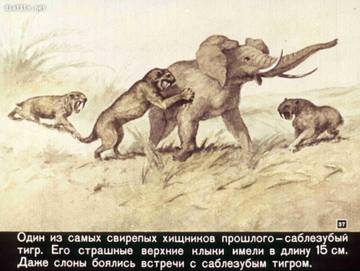 http://upforme.ru/uploads/0011/bd/ef/2/t51108.jpg