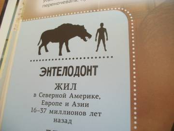 http://upforme.ru/uploads/0011/bd/ef/2/t590691.jpg