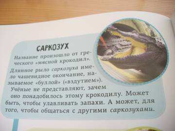 http://upforme.ru/uploads/0011/bd/ef/2/t615938.jpg