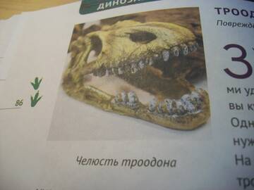http://upforme.ru/uploads/0011/bd/ef/2/t639041.jpg