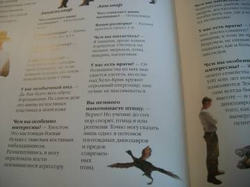 http://upforme.ru/uploads/0011/bd/ef/2/t641576.jpg