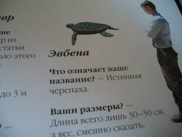 http://upforme.ru/uploads/0011/bd/ef/2/t705315.jpg
